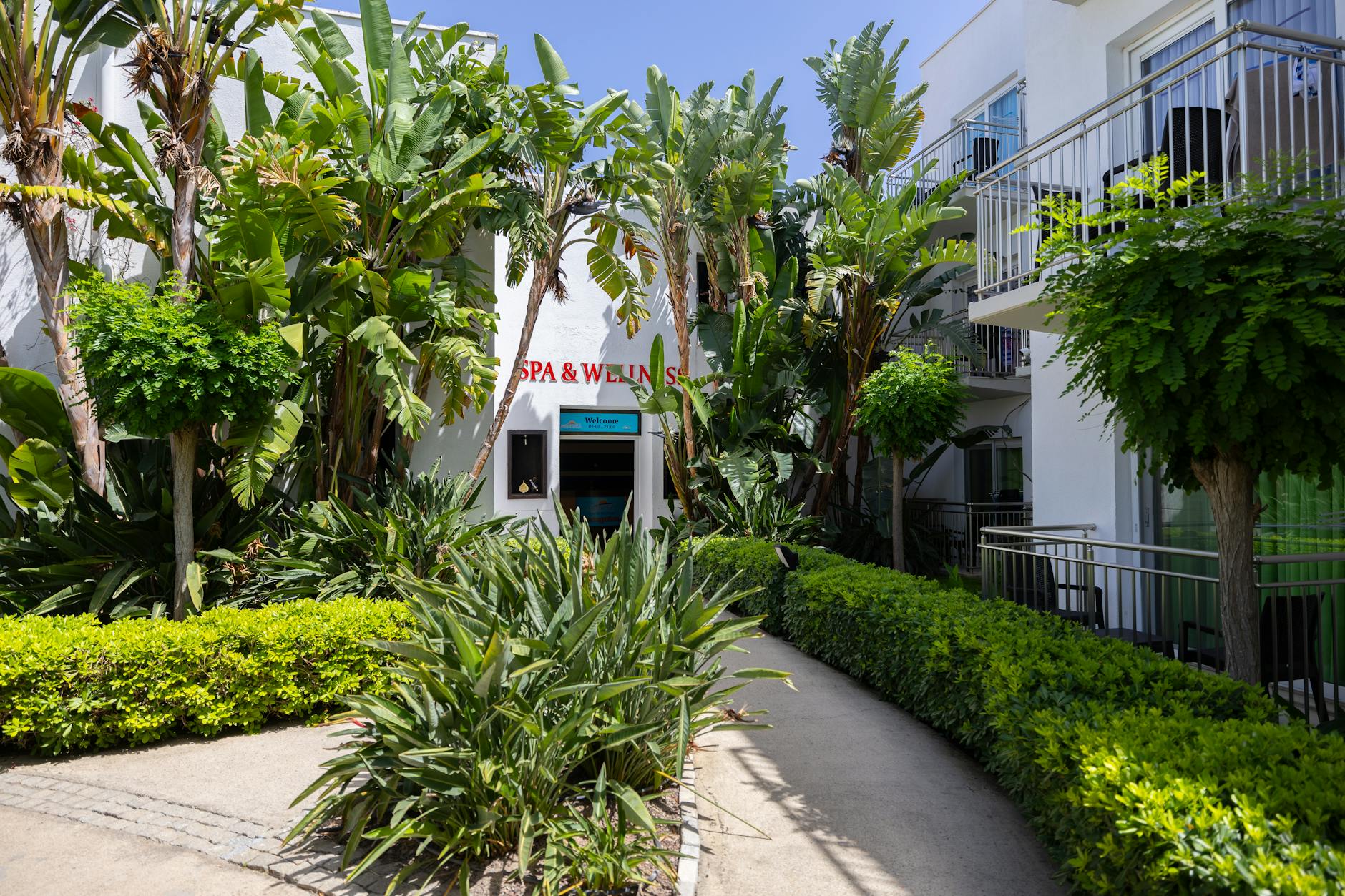 Wejście do luksusowego spa otoczone tropikalnymi roślinami